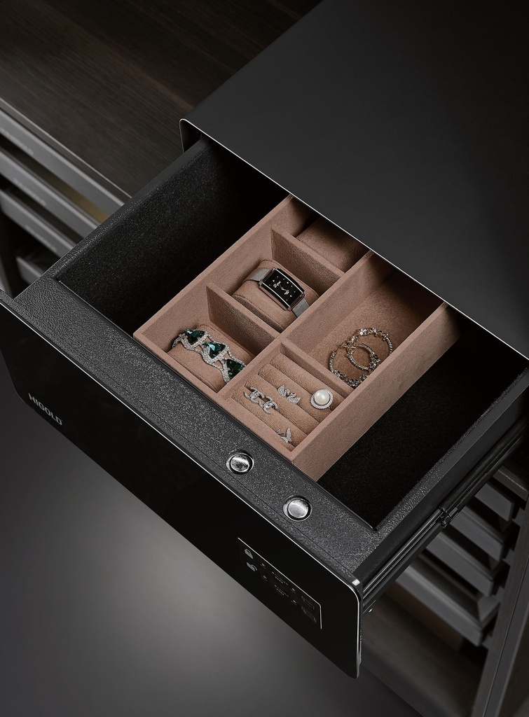 Safe Box - Finger Print + Password